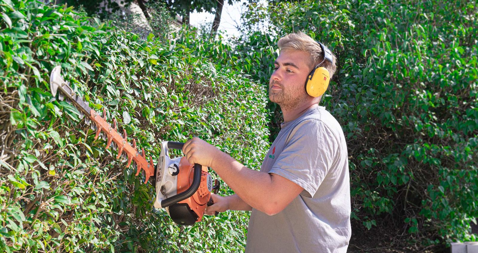 Ein Mitarbeiter beim Rückschnitt einer Hecke, Grünpflege