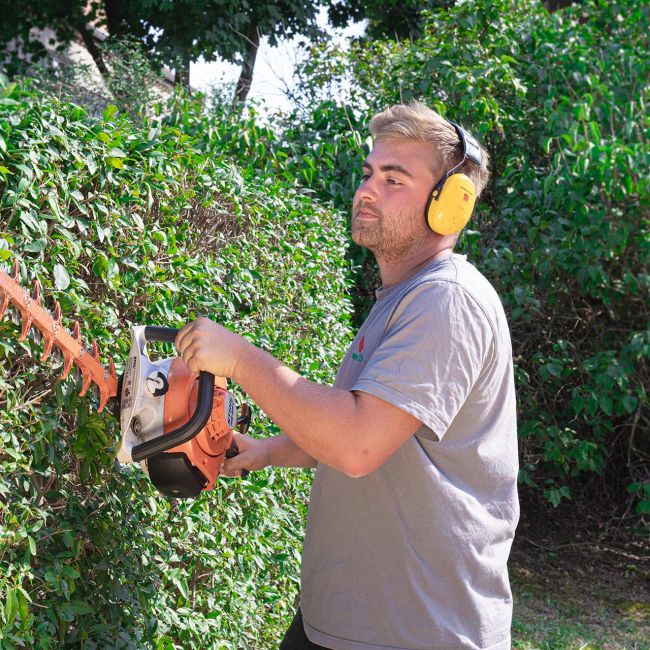 Ein Mitarbeiter beim Rückschnitt einer Hecke, Grünpflege